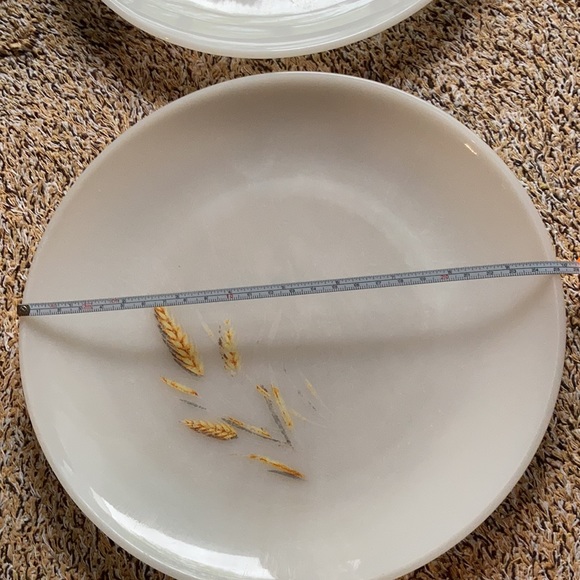 2 Vintage Fire King Oven Ware Wheat Dinner Plates - Picture 7 of 9